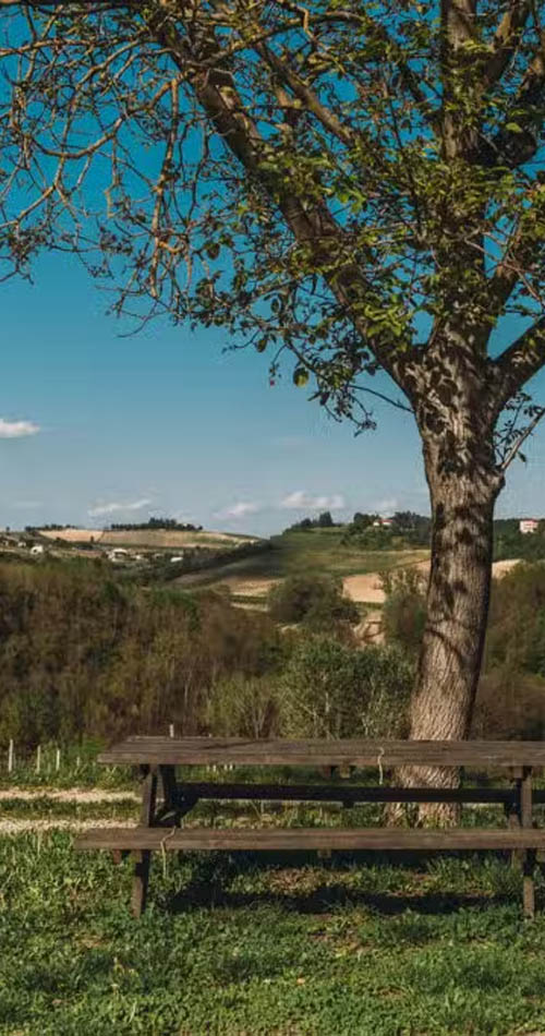 monferrato-aziende-agricole agricoltura sostenibile con la geotermia